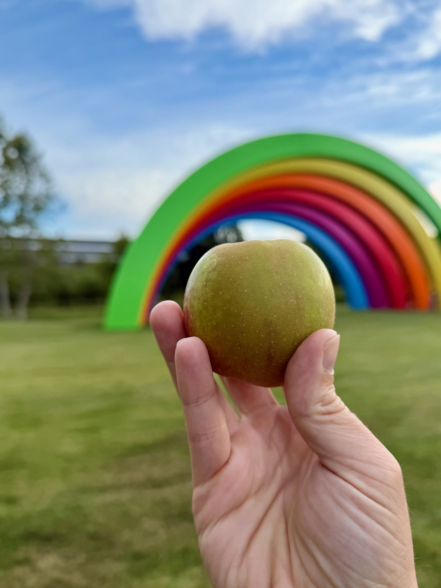 A hand holds a kiwi in front of a colorful rainbow sculpture